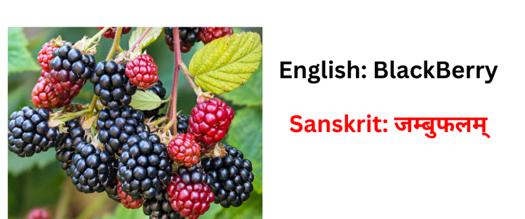 Fruits name in sanskrit