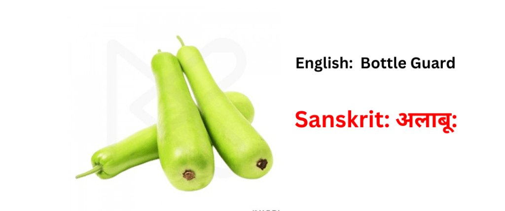 vegetable names in sanskrit