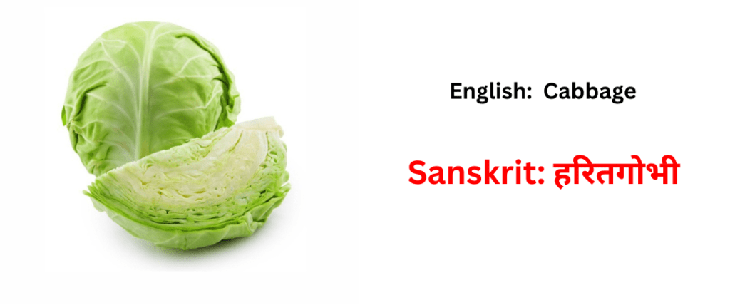 vegetable names in sanskrit
