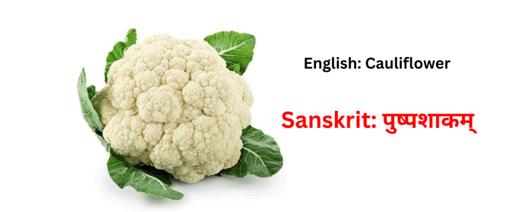 vegetable names in sanskrit
