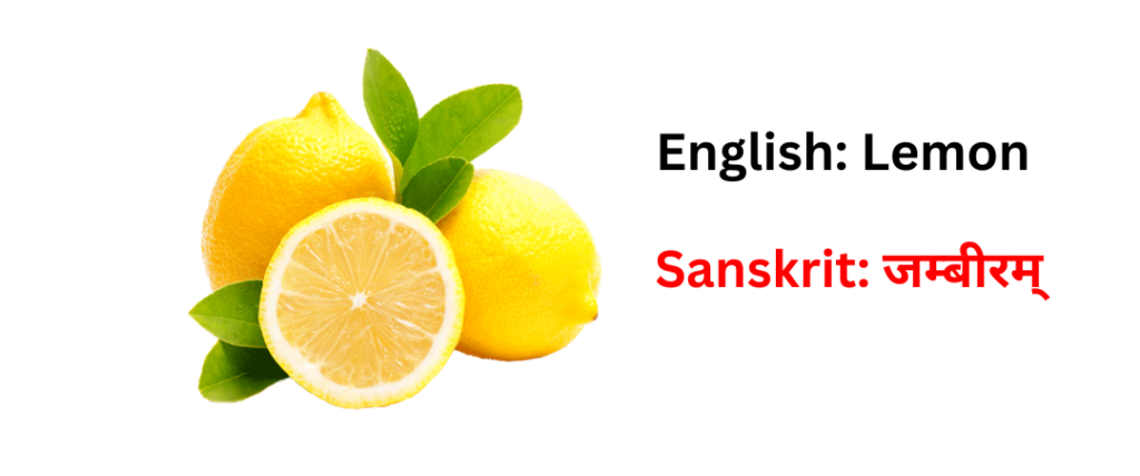 Fruits name in sanskrit