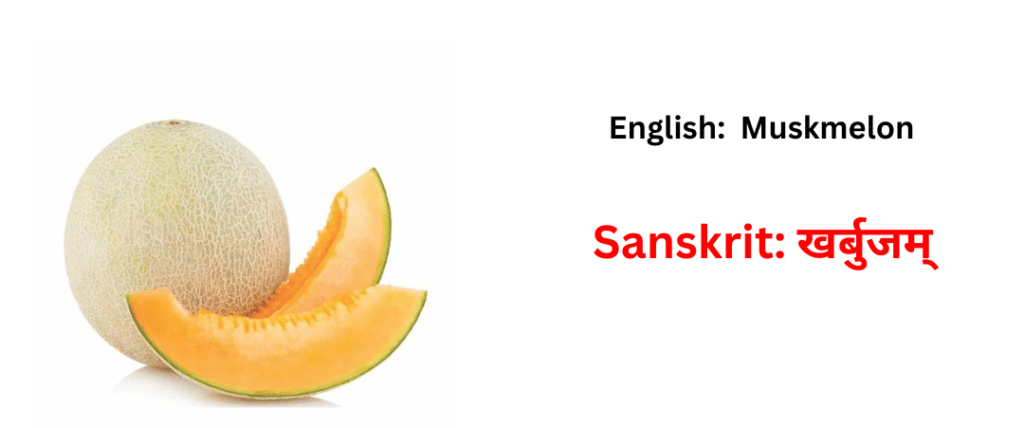vegetable names in sanskrit