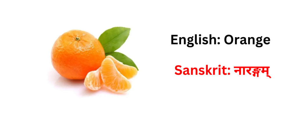 Fruits name in sanskrit