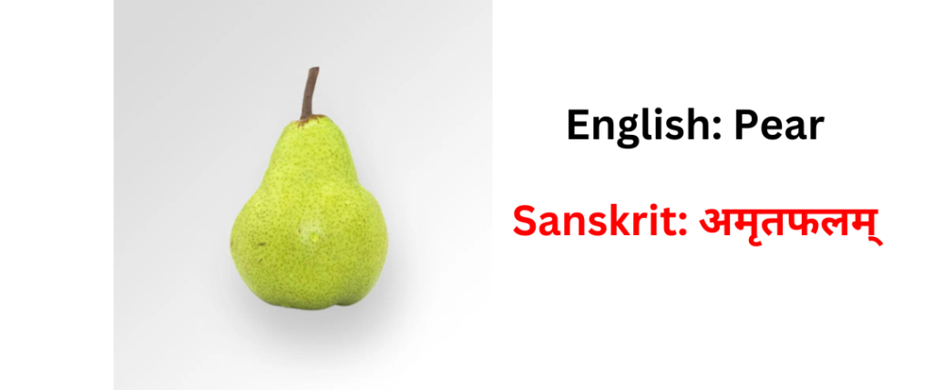 Fruits name in sanskrit