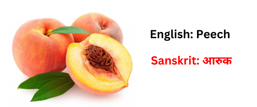 Fruits name in sanskrit