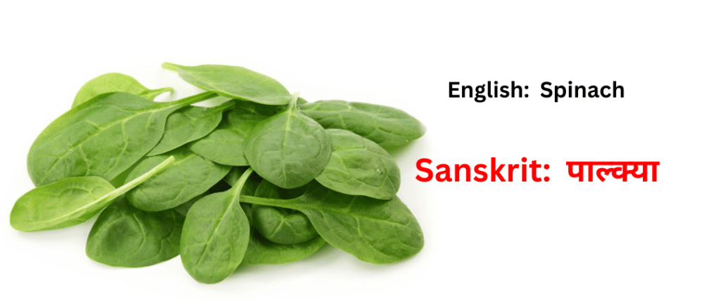 vegetable names in sanskrit
