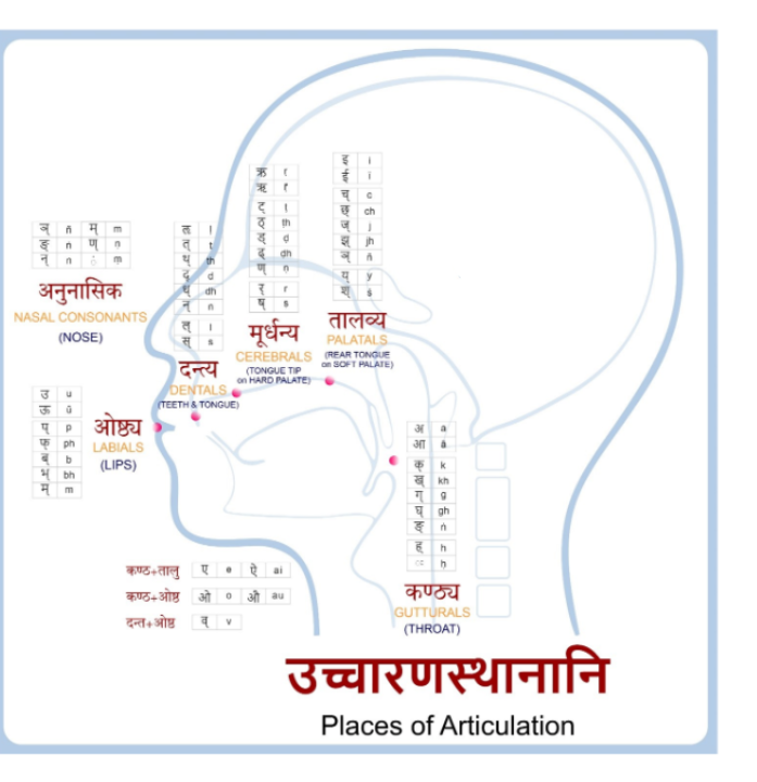 Sanskrit vowesls and consonants